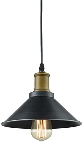 Dazhuan Industrial Ceiling Light Metal Lampshade Hanging Lamp Black Farmhouse Pendant Light Fixture, 22CM, 1-Light