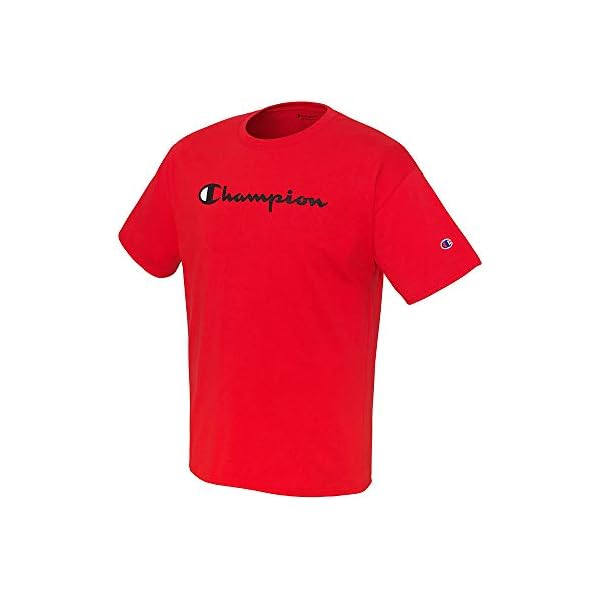 Champion Men's Classic T-Shirt (Gt280)