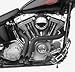 ACCESSORIESHD - 2 Inch Black LAF Ground Shakers Exhaust for Harley-Davidson Sportsters, Baggers,Softails and Customs