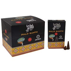 Tribal Soul Premium Backflow Incense Cones (Jumbo, 10 Cones) | Aromatic, Long-Burning for Waterfall Incense Burners : (4 Packs, Palo Santo)