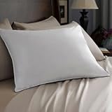 Pacific Coast Hospitality Tria Queen Size 2-Pillow Set With 2 Queen Size Pillowtex Pillow Protectors