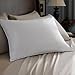 Pacific Coast Hospitality Tria Queen Size 2-Pillow Set With 2 Queen Size Pillowtex Pillow Protectors