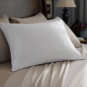 Pacific Coast Hospitality Tria King Size 2-Pillow Set With 2 King Size Pillowtex Pillow Protectors