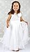 Bow Dream Flower Girl's Dress Sequins Tulle