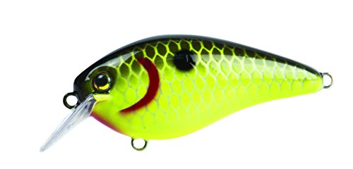 Strike King KVD1.5 Square Bill Crankbait, Black Back Chartreuse, 2 1/2"/7/16 oz