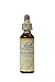Bach Original Flower Remedies - Hornbeam 20ml