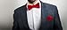 Harvest Male Red Bow Tie - Pre-tied Adjustable Length Formal Tuxedo Satin Solid Color - Men & Teen Boys