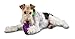 PetSafe Busy Buddy Squirrel Dude Dog Toy - Treat Dispensing Toy – Extra Small, Small, Medium and Large Sizes