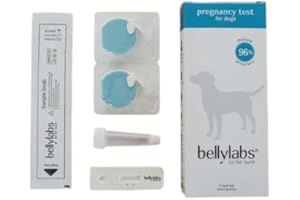 The Breeders Cupboard Bellylabs Pregnancy Test for Dogs - Rapid Early Detection Canine Pregnancy Test