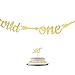 Baby's 1st Birthday Decorations- 12 Month Photo Banners,Wild One Birthday Banners,Wild One Cupcake Topper,the Wild One Party Supplies (wild one) (Gold)