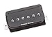 Seymour Duncan TBPR-1b P-Rails Pickup - Trembucker