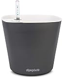 Aquaphoric Self Watering Planter (7") + Fiber Soil = Foolproof Indoor Garden. Decorative Planter Pot for House Plants, Flowers, Herbs, Violets, Succulents. Easy Looks Great.