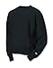 Champion S149 - Reverse Weave Crewneck Sweatshirt