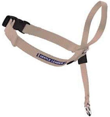 Gentle leader large Clearance