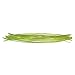 Sun Joe Shredder Joe Pre-Cut Replacement Leaf Mulcher/Shredder Line