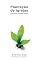 Livro Plantação de Igrejas (Português - Série Plantação de Igrejas Livro 1)