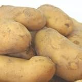 北海道じゃがいも「新じゃが」こだわり【こふきメークイン】Lサイズ5kg入