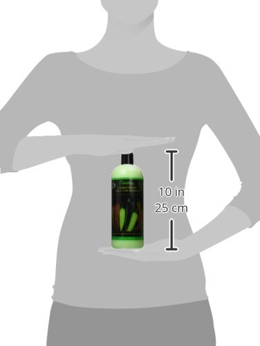 Chile Con Romero Conditioner, 32 Ounce