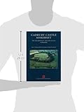 Image de Cadbury Castle Somerset: The Later Prehistoric and Early Historic Archaeology (English Heritage Archaeological Report)