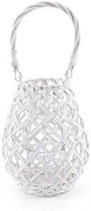 ERREBI Lantern decapata Candid C/BICC.12765