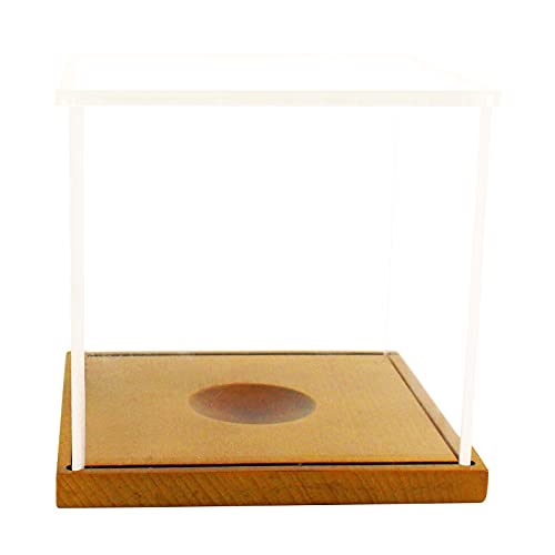 LuxRound Softball Display Case, Plastic Display Holder for Official