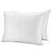 CirclesHome Pillow Protectors 2 Pack Standard Zippered - 100% Cotton Breathable Pillowcases - Protects Pillows from Dirt, Dust and Debri (Standard - Set of 2 - 20x26)