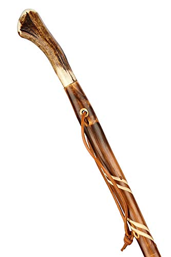 Stock-Fachmann Wandelstok, gevlamd, gedraaid met hoorn en lus, echt houten stok, pilgerstok, van kastanjehout, lengte… - Image 3