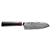 TUO Cutlery Damascus Santoku Knife 5.5 - Japanese 67 Layers VG-10 Damascus Steel with Case - Ring Series