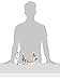 Schleich Bayala Ice Sleigh Figure