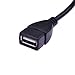 Atomic Market USB Host Cable Mini B Male to USB A Female OTG