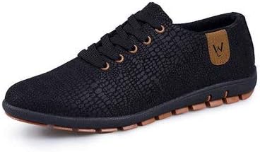 Msanlixian Spring/Summer Breathable Mens Shoes Casual Fashio Low Lace-up Canvas Shoes