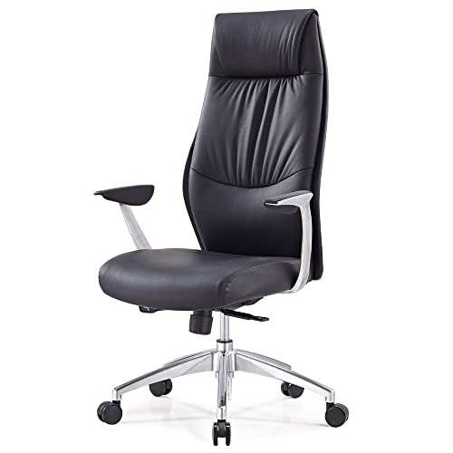 Zuri Furniture Modern Franklin Genuine Leather Adjustable Executive