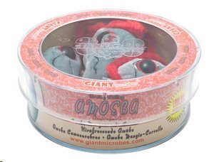 Giant Microbes Brain-Eating Amoeba (Naegleria fowleri) Petri Dish