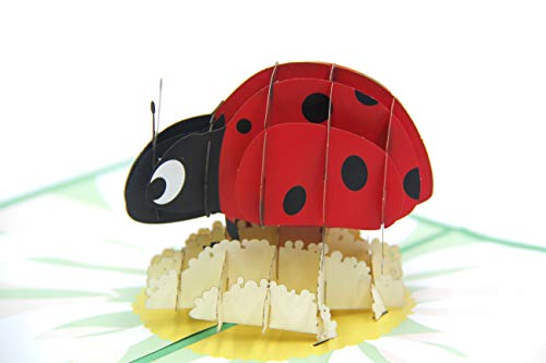 Ladybug 3D Paper Pop-up Greeting Card Holiday Gift