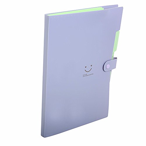 Lateral File Folders Expandable Plastic Portable Classification Accordian Folder Organizer