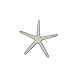 LJY 25 Pieces 3.15 Inches Beige Resin Pencil Finger Starfish for Wedding Home Decor and Craft Project