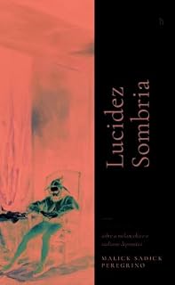 Livro Lucidez Sombria: Contos sobre Melancolia e o Realismo Depressivo