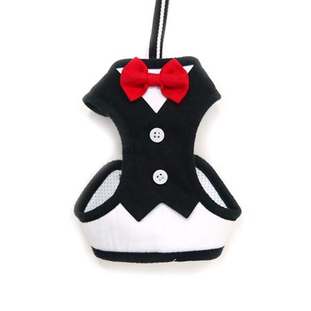 DOGO EasyGO Soft Step in Harness - Maltese, Yorkie, Small Dog Harness and Leash Combo