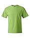 Hanes mens 5180 fashion t shirts, Lime, XX-Large US