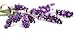 Nature's Fusions High Altitude French Lavender Essential Oil, 3rd Party GC/MS Tested 100% Pure and Natural Essential Oil for Calming, Aromatherapy and Topical Oils, 15 Milliliters