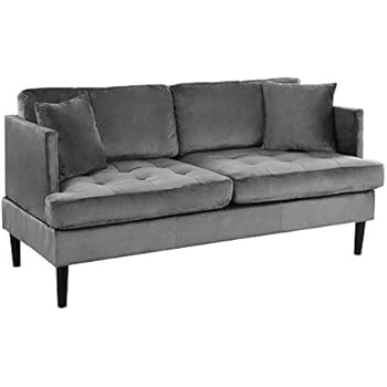 Mid Century Modern Velvet Loveseat Sofa With Tufted Seats Grey