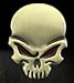 FineFun 2 Pcs New 3D Metal Skull Logo Emblem Sticker Car SUV Body Exterior Cover Fender Decals DIY Car-Styling 3D Stickers (Black)