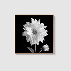 Framed Canvas Home Artwork Decoration Beautiful Flower Canvas Wall Art for Living Room, Bedroom - 16x16 inches