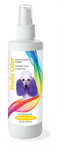 Dog Fur Dye: What You Must Know About It