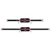 Fitletic Neo Race Belt, Black & Pink | Unique No Bounce Design for Marathon, Triathlon, Trail, 5k, 10k | Womens Running Belt | N01R-08