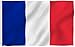 France Flag Polyester 3 ft. x 5 ft.