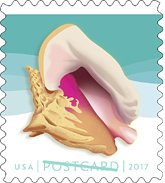 Seashells Postcard Stamp USPS Forever Stamps, Roll of 100 - US Postage Card Stamps