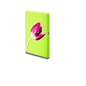 Canvas Prints Wall Art - Pink Tulip Flower on Green Background | Modern Wall Decor/Home Art Stretched Gallery Canvas Wraps Giclee Print & Ready to Hang - 18" x 12"