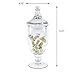 CYS EXCEL Glass Apothecary Jar. H-13.5