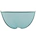 FEESHOW Men's Silky Bugle Pouch Tanga Briefs Bikini Underwear (One Size, Blue)